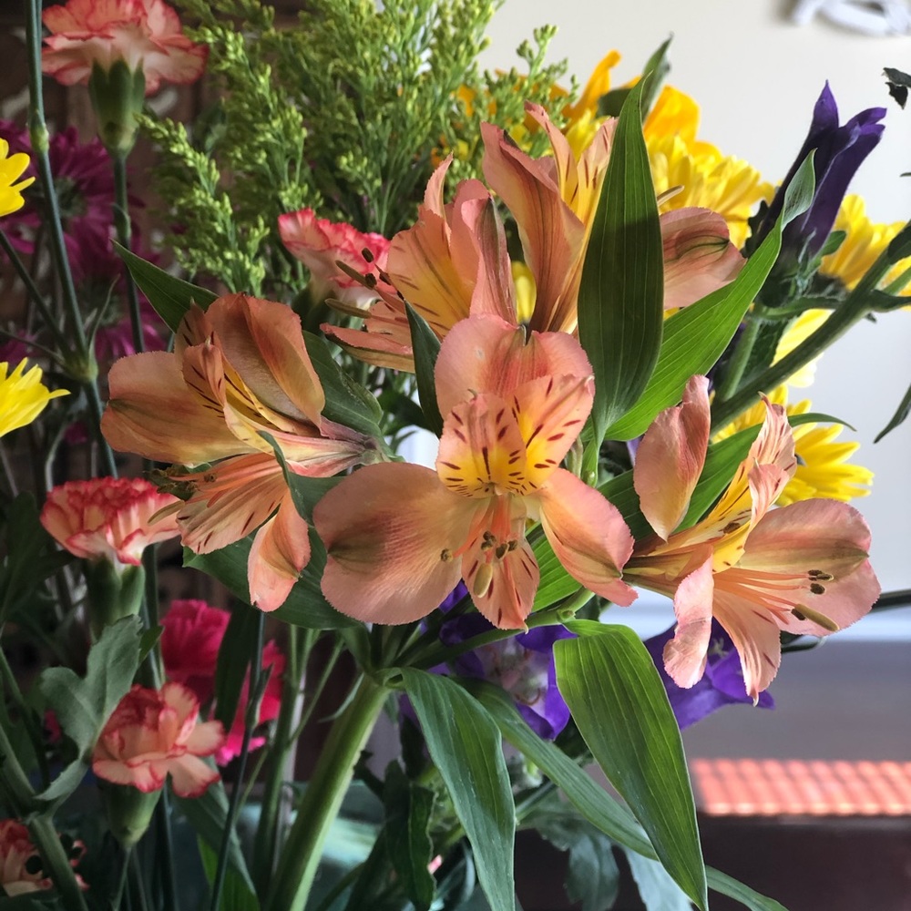 Meet your Posher, Gul